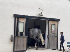 -北京群众马术培训基地