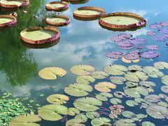 -国家植物园南园