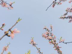 -石湖景区