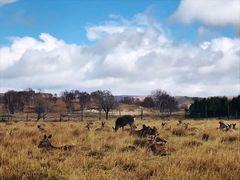 -塞罕坝国家级自然保护区