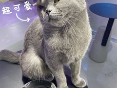 -极木²邸 人与宠物·互动社区