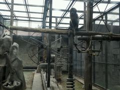 -石家庄市动物园