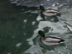 -水磨沟公园