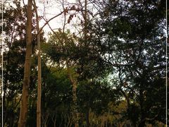 -徐家汇源景区-衡山公园