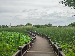 -梁鸿国家湿地公园
