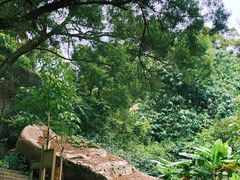 -青芝山风景名胜区