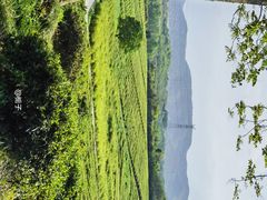 -宜兴龙背山森林公园