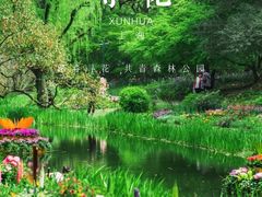 -上海共青森林公园