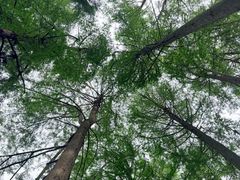 -波尔登森林公园