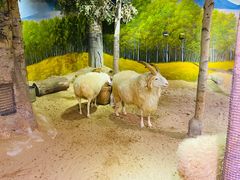 -正佳雨林生态植物园