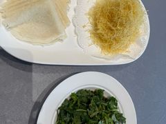 -丁老爷子苏香圆