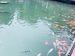 -台儿庄古城