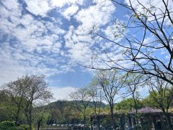 -Dr.林醫生产后修复·配方产康(南京江宁万达店)