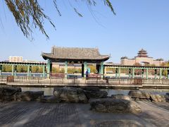 -莲花池公园