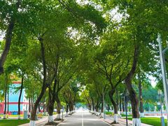 -四川大学(望江校区)