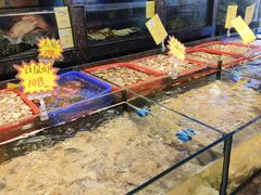 -新金盛·海鲜酒楼(盐田店)