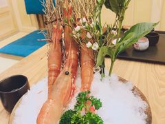 -一本钓鲔鱼屋