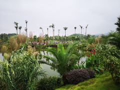 -枫香湖儿童公园