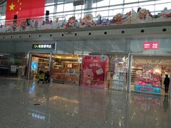 -广州白云国际机场-T2航站楼