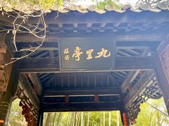 -东天目山风景区