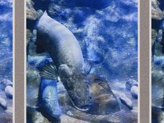 -杭州海底世界