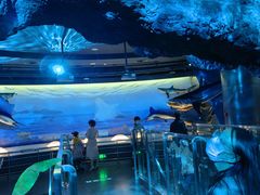 -陕西自然博物馆