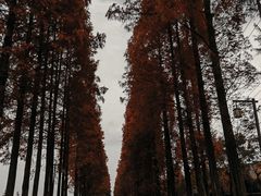 -青城山