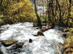 -叠溪松坪沟景区