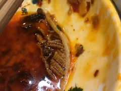 -闻道来火锅(中兴店)