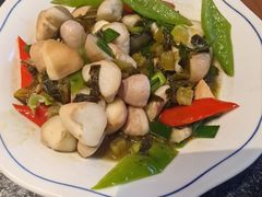 -青桃餐厅