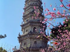 -船政文化景区-罗星塔公园