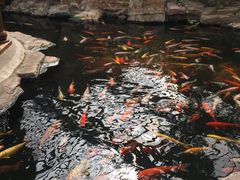 -龙达温泉生态城