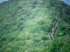 -大岭沟猕猴桃谷风景区