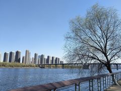 -长白岛森林公园