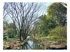 -上海共青森林公园
