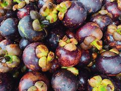 -红星农博物流中心