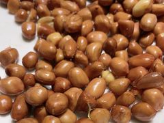 -宗泉烤全羊·烤羊腿·家常菜(解放东路店)