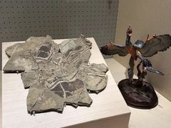 -辽宁古生物博物馆