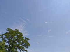 -孤山景区-孤山寺