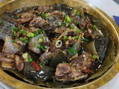 -明本湛江鸡•海鲜小厨(陈家祠店)