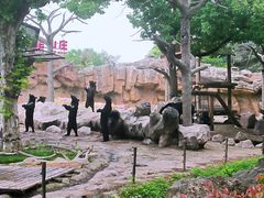-上海野生动物园