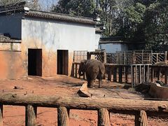 -杭州动物园