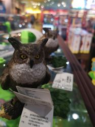 -Hamleys哈姆雷斯(东方福来德店)