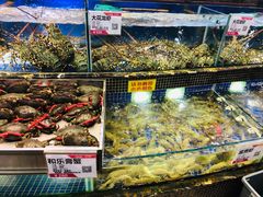 水产区-欢乐海岸美食联盟