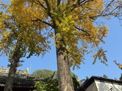 -狼山风景名胜区