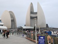 -野狸岛