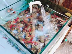 软壳蟹-马王堆海鲜水产市场