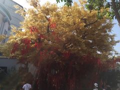 -济南方特东方神画