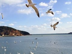 -烟墩角天鹅湖