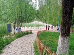 -丰台科技园生态主题公园